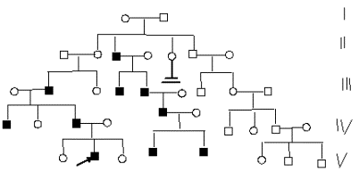 родословная по рецессивному сцепленному с Х-хромосомой типу наследования признака